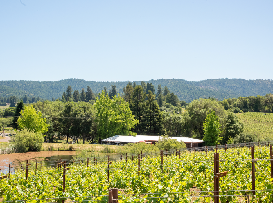 Happy Earth Day! An Ode to the Anderson Valley